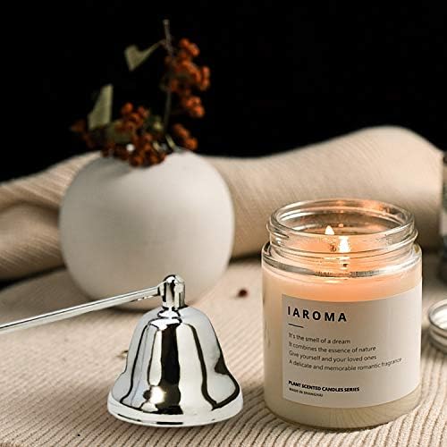 Premium Metal Candle Snuffer with Long Handle - Silver