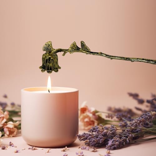 AimtoHome Candle Snuffer with Ginkgo Leaf Design