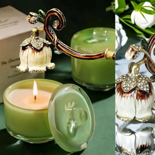 Elegant Candle Snuffer with Long Handle and Hook Design